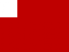 Tu Bandera - Bandera de Abu Dabi