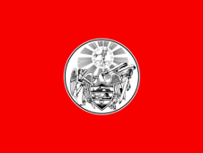 Tu Bandera - Bandera de Arkansas (1876)
