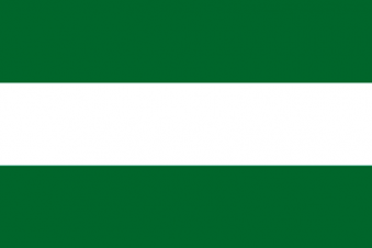 Tu Bandera - Bandera de Andalucía S/E