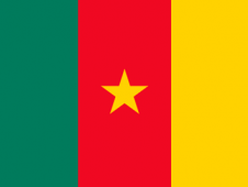 Tu Bandera - Bandera de Camerún