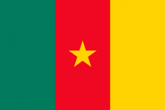 Tu Bandera - Bandera de Camerún
