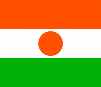 Tu Bandera - Bandera de Níger
