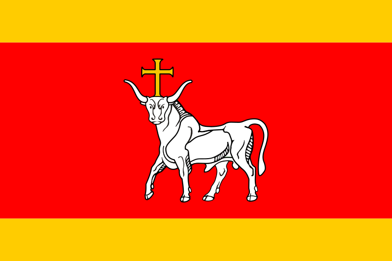 Bandera Kaunas