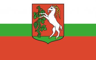 Tu Bandera - Bandera de Lublin