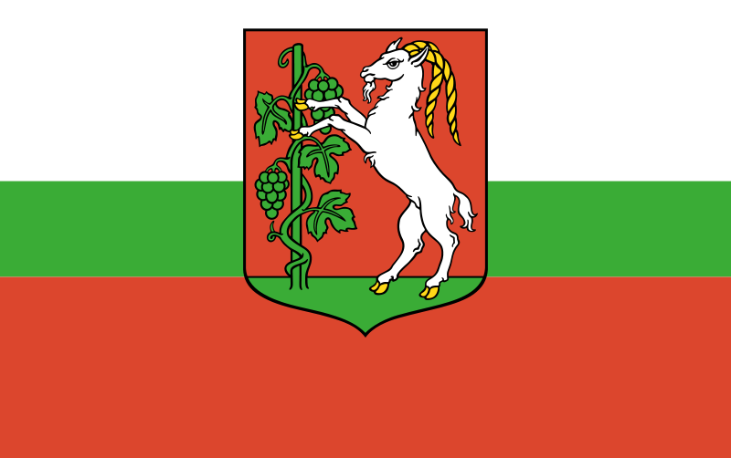 Bandera Lublin