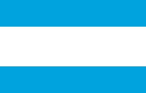 Bandera Maardu