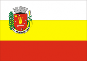 Tu Bandera - Bandera de Maringá