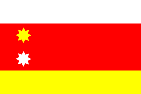 Bandera Orhei