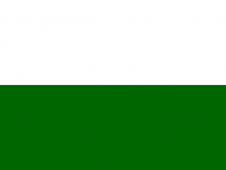 Tu Bandera - Bandera de Styrie