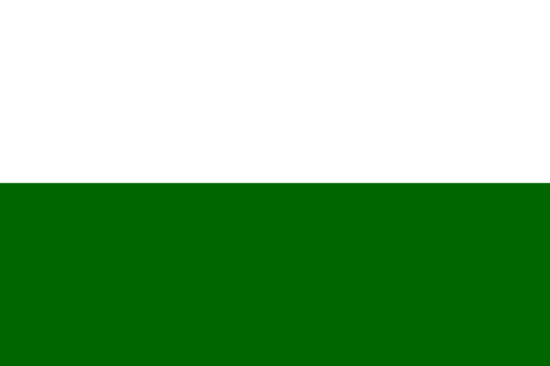 Bandera Styrie