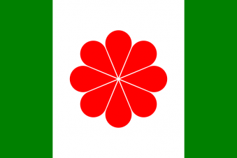 Tu Bandera - Bandera de Taiwán independentista