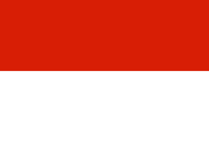 Bandera Tarija