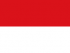 Tu Bandera - Bandera de Viena