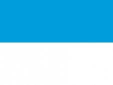 Tu Bandera - Bandera de Viljandi