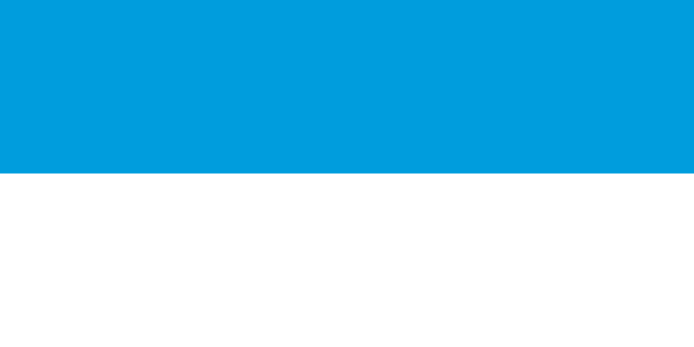 Bandera Viljandi