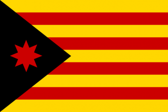 Tu Bandera - Bandera de Estelada Anarquista