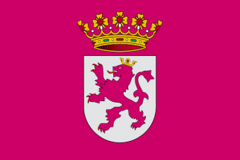 Tu Bandera - Bandera de Leonesismo