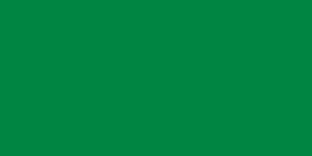 Bandera Libia (1977-2011)