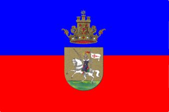 Tu Bandera - Bandera de Medina Sidonia C/E