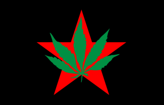 Tu Bandera - Bandera de Partido Internacional de la Juventud