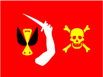 Tu Bandera - Bandera de Pirata de Christopher Moody