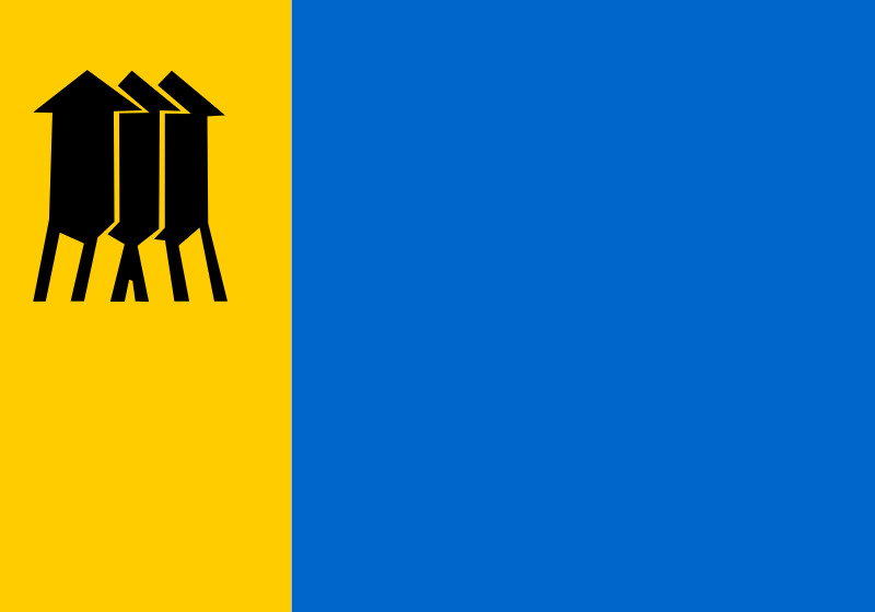 Bandera Porto Velho