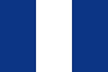 Bandera San Alejo