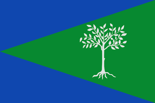 Bandera Aliseda