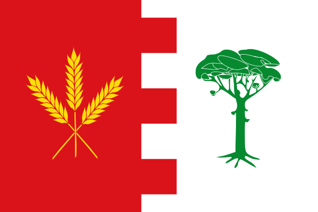 Bandera Ataquines