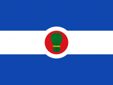 Tu Bandera - Bandera de Bagüés
