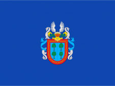 Tu Bandera - Bandera de Barañáin