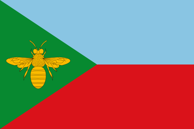Bandera Belvís de la Jara