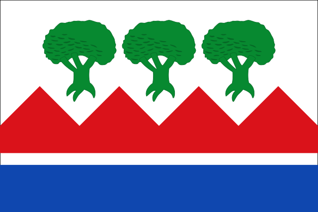 Bandera Benalúa de las Villas