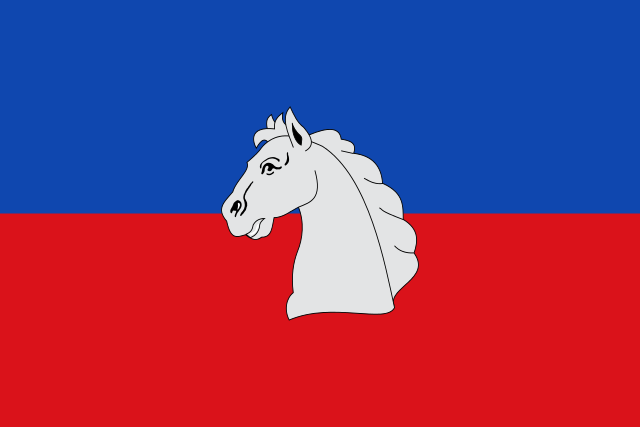 Bandera Biscarrués