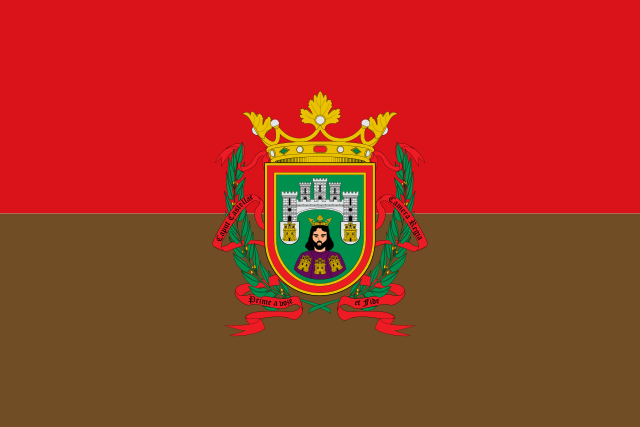 Bandera Burgos