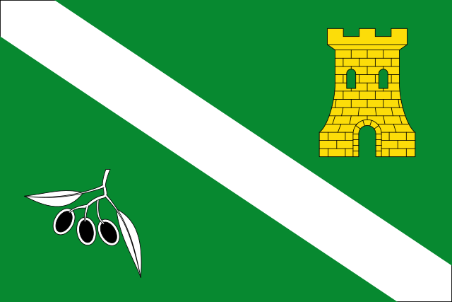 Bandera Castil de Campos