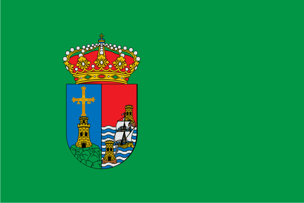Bandera Castrillón C/E