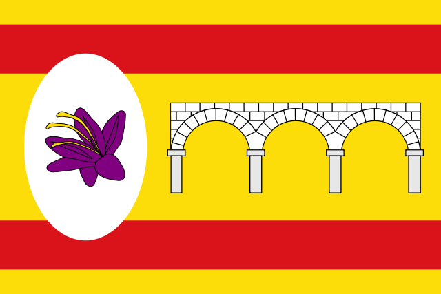 Bandera Cortes de Aragón