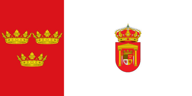 Bandera Diego del Carpio