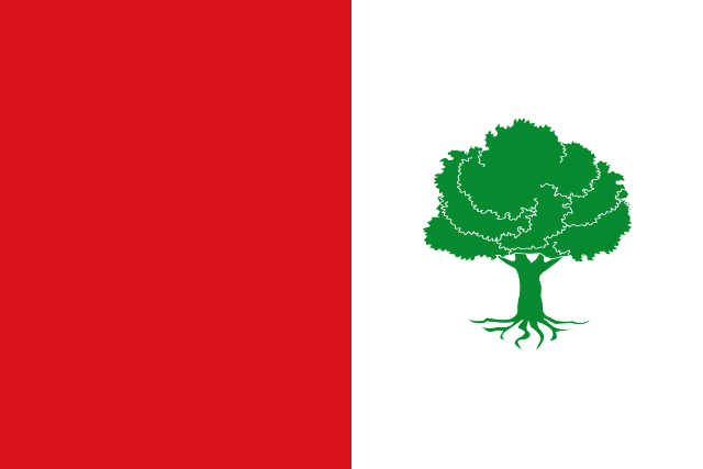 Bandera El Peral