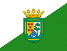 Tu Bandera - Bandera de El Rosario (Tenerife)