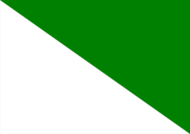 Bandera Estepa