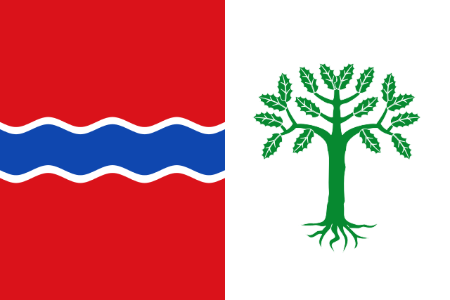 Bandera Fuentelencina
