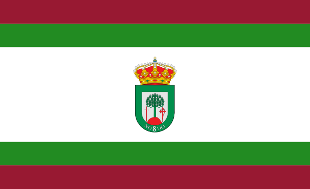 Bandera Hinojos