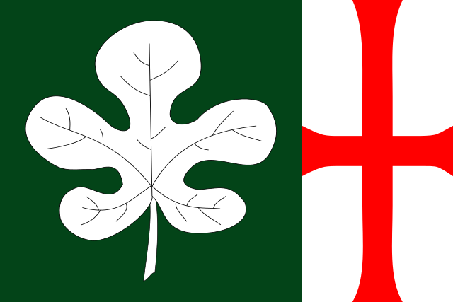 Bandera Horta de Sant Joan