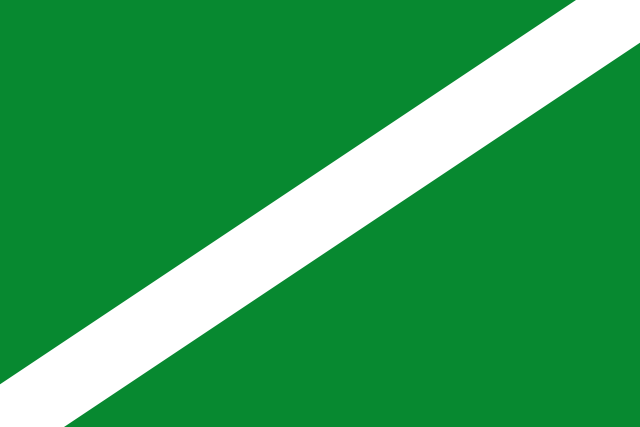 Bandera La Guancha