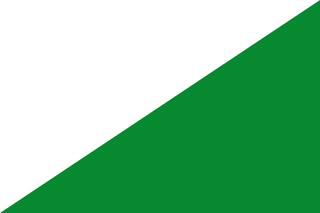 Bandera Las Pedroñeras