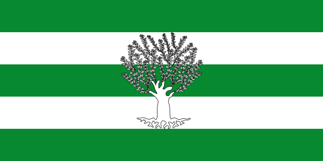 Bandera Líjar