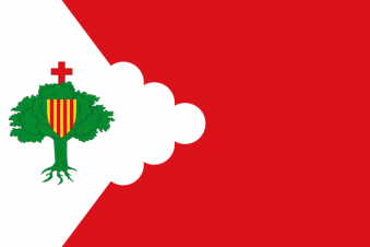 Tu Bandera - Bandera de Montón