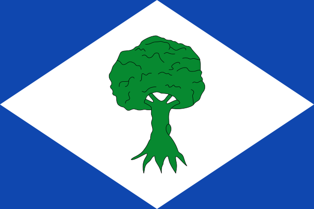 Bandera Noceda del Bierzo